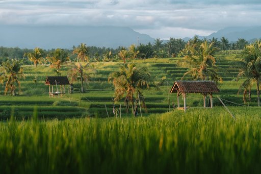 Pemandangan indah Bali, Indonesia, menampilkan kehijauan yang rimbun dan arsitektur tradisional Bali di bawah langit biru cerah.