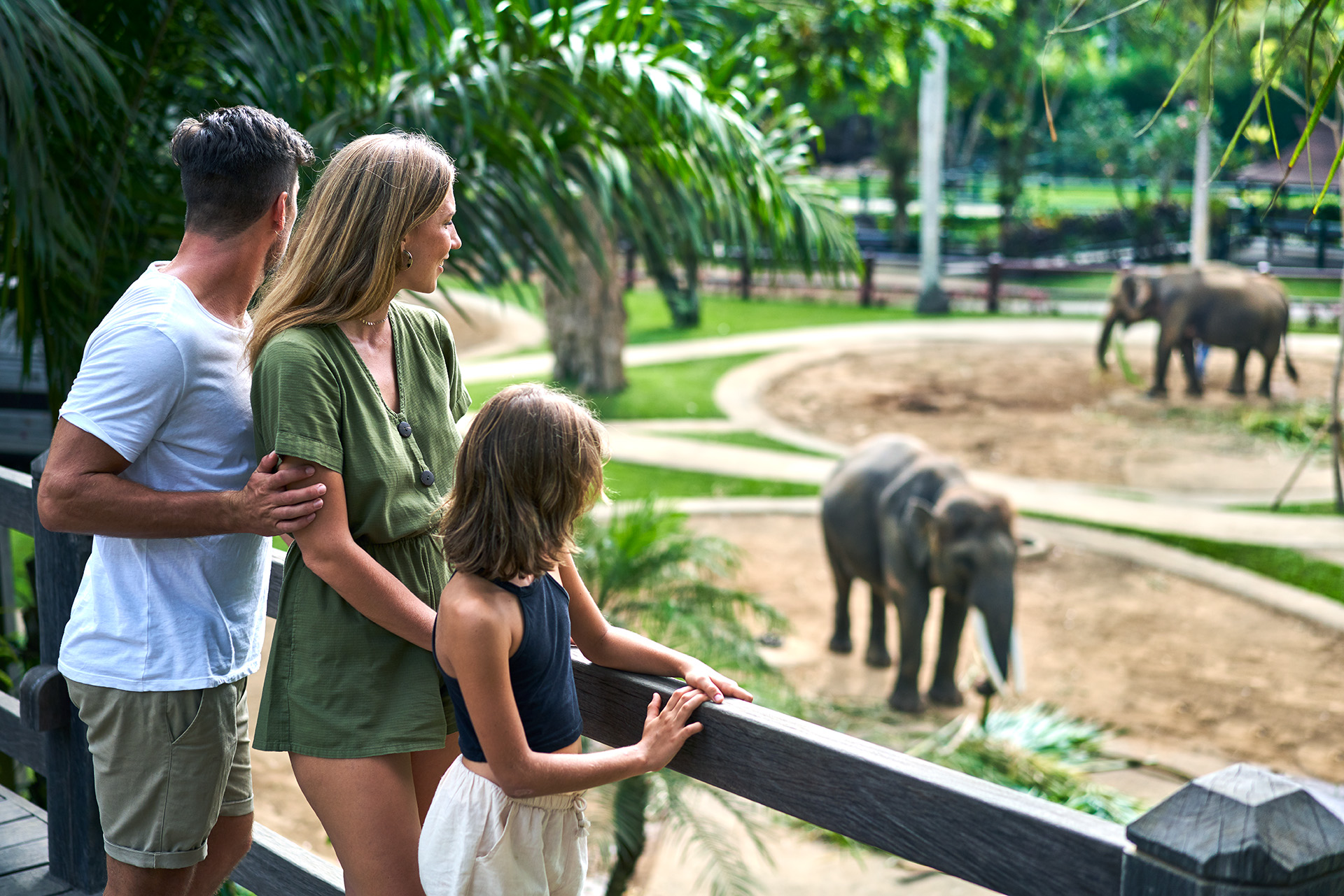 A family observes elephants in their enclosure at Mason Elephant Park, enjoying a day of wildlife exploration together.