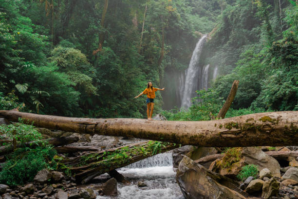 hidden waterfall in the tropical forest