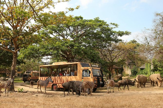Bali Safari